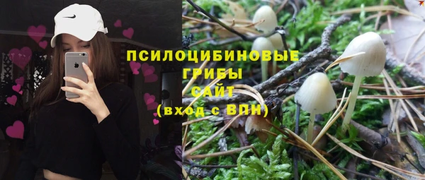 стафф Пестово