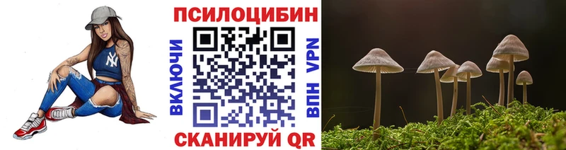 Купить закладки  Советский  Галлюциногенные грибы MAGIC MUSHROOMS 